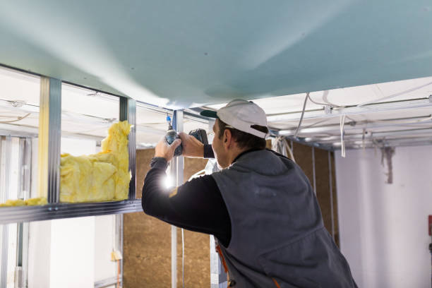 Professional Insulation Contractor in Canadian, TX