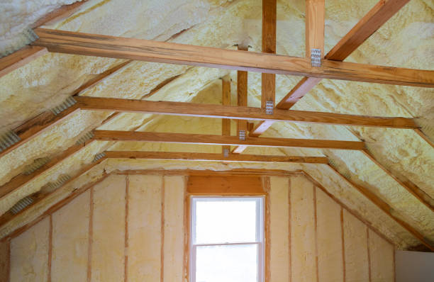 Best Cellulose Insulation in Canadian, TX