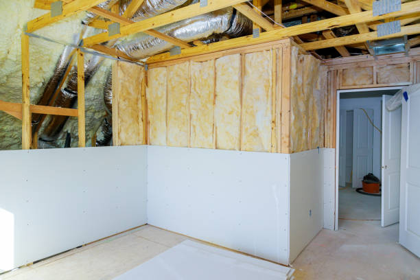 Best Spray Foam Insulation in Canadian, TX