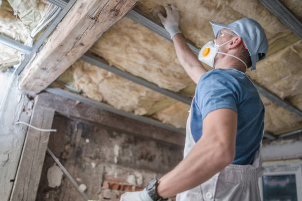 Best Eco-Friendly Insulation in Canadian, TX